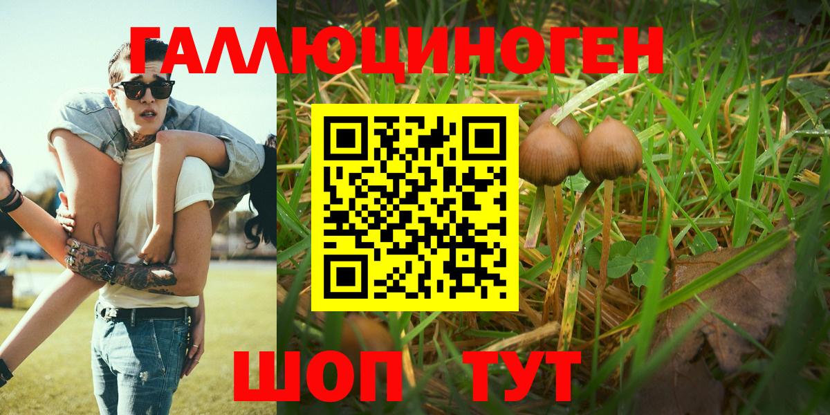 Alpha-PVP СК   Кодеин  Вход с VPN  Гашиш  Меф МЯУ МЯУ кристаллы  COCAIN  Домодедово  МАРИХУАНА 
